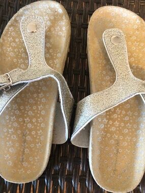 American Eagle Slides